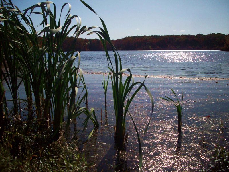 reservoir.jpg